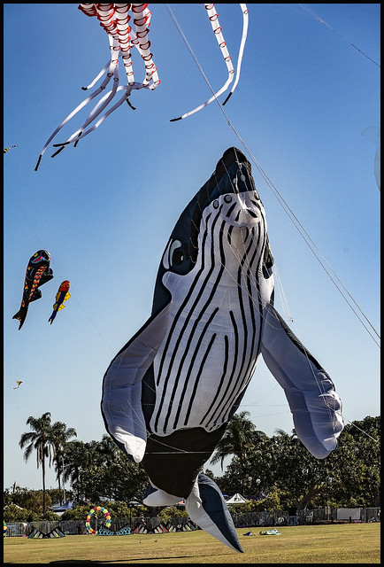 Clontarf Kite Fest 2021-30=