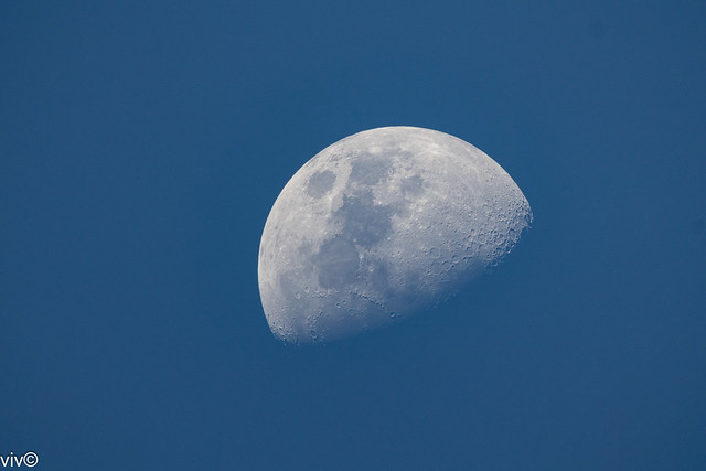 Yesterday's uncropped Waxing Crescent day Moon showing moon craters, taken from our garden - Sydney, New South Wales, Australia