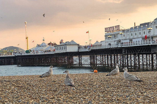 Evening in Brighton