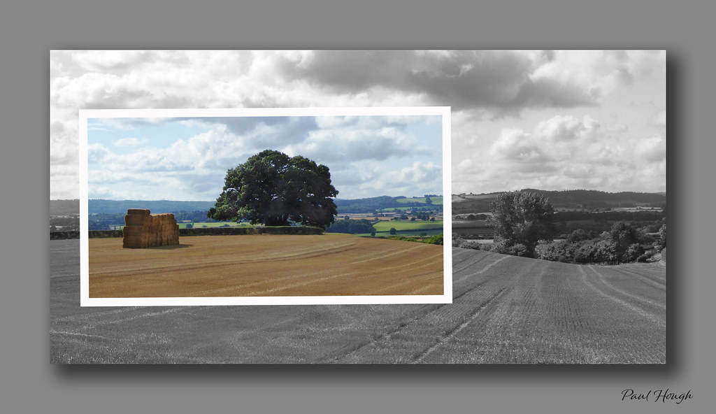 Dryton Oak Shropshire …picture in a picture
