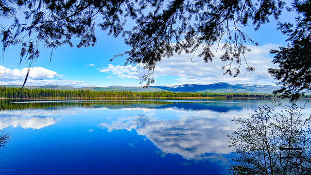 Seely Lake Reflection