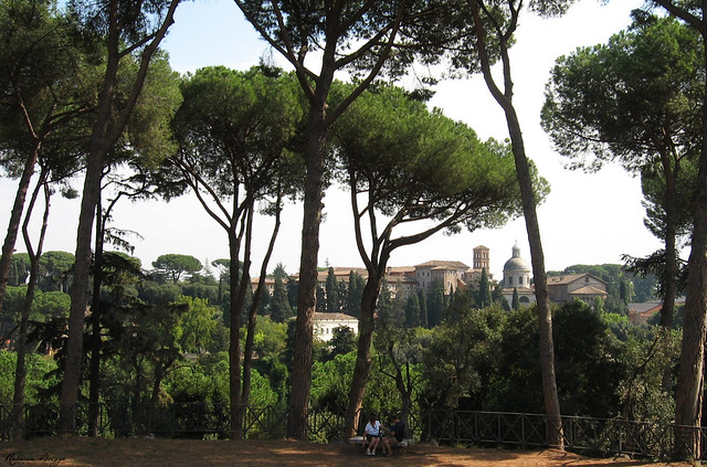 View from the Palatine Hill