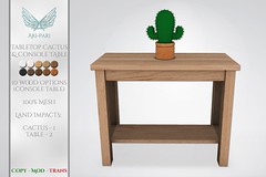 [Ari-Pari] Tabletop Cactus & Console Table