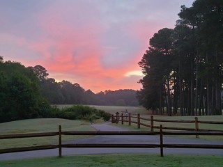 Sunrise on the golf course 😎