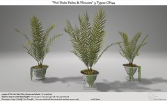 .:Tm:.Creation "Pot Date Palm & Flowers" Pack 3 types GP44