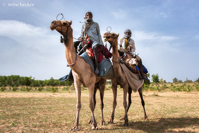 Fulani Camel Riders