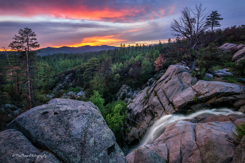 Waterfall Roses Sunset Hassayampa and Tributaries | Flickr