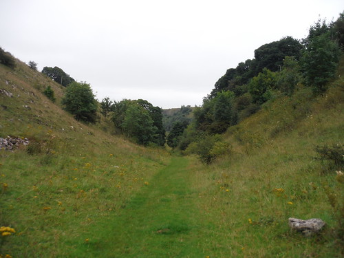 View up Woo Dale SWC 385 - Buxton Circular or to Monsal Dale (via the Wye Valley)