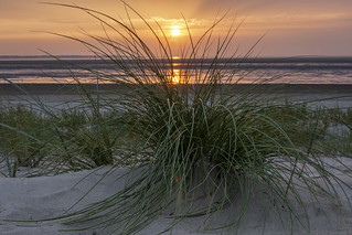 Sunset on Langeoog Island