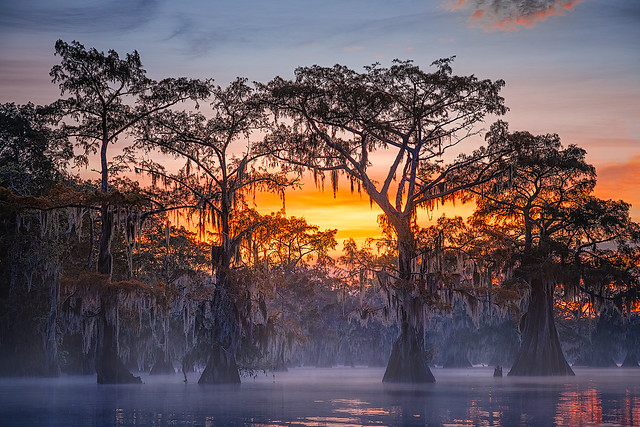 Autumn in the Bayou