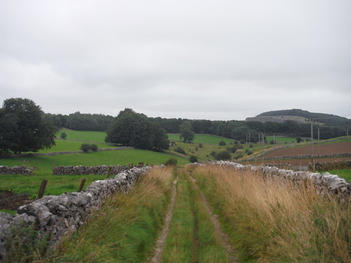 Farm Track towards Woo Dale SWC 385 - Buxton Circular or to Monsal Dale (via the Wye Valley)