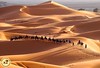 Sahara Desert by moroccotourismtrips