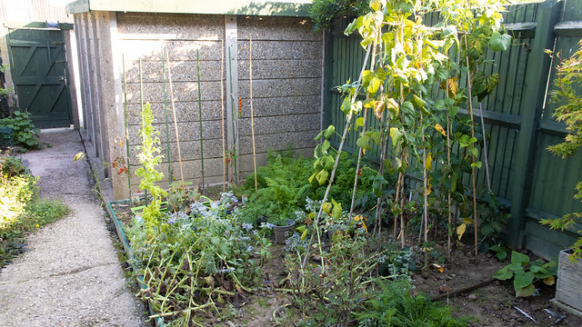 back garden area 2