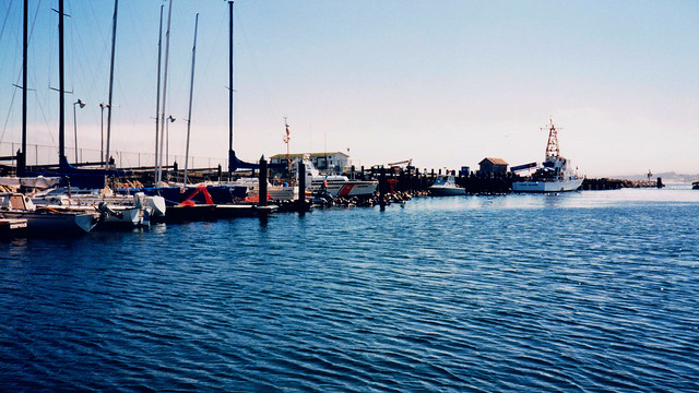 Blue Water Cove Marina and U.S. Coast Guard Pier, with many sea lions
