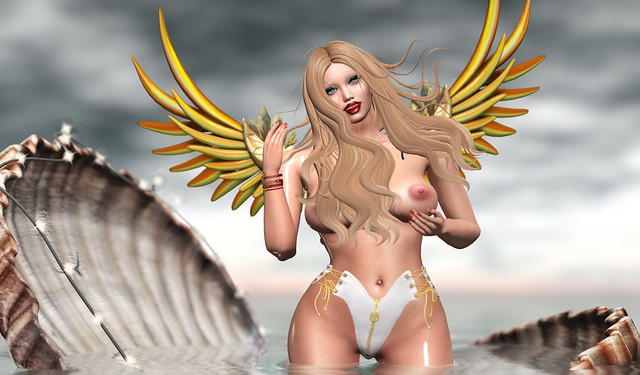 Venus in Wings_035