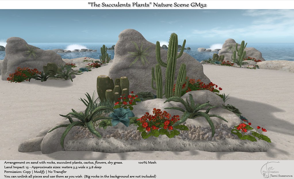 .:Tm:.Creation "The Succulents Plants" Nature Scene GM52