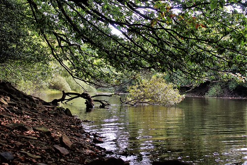 See The Beauty Deep Beneath ( poetic ' natures treasures' version) | by Poetic Vagabond