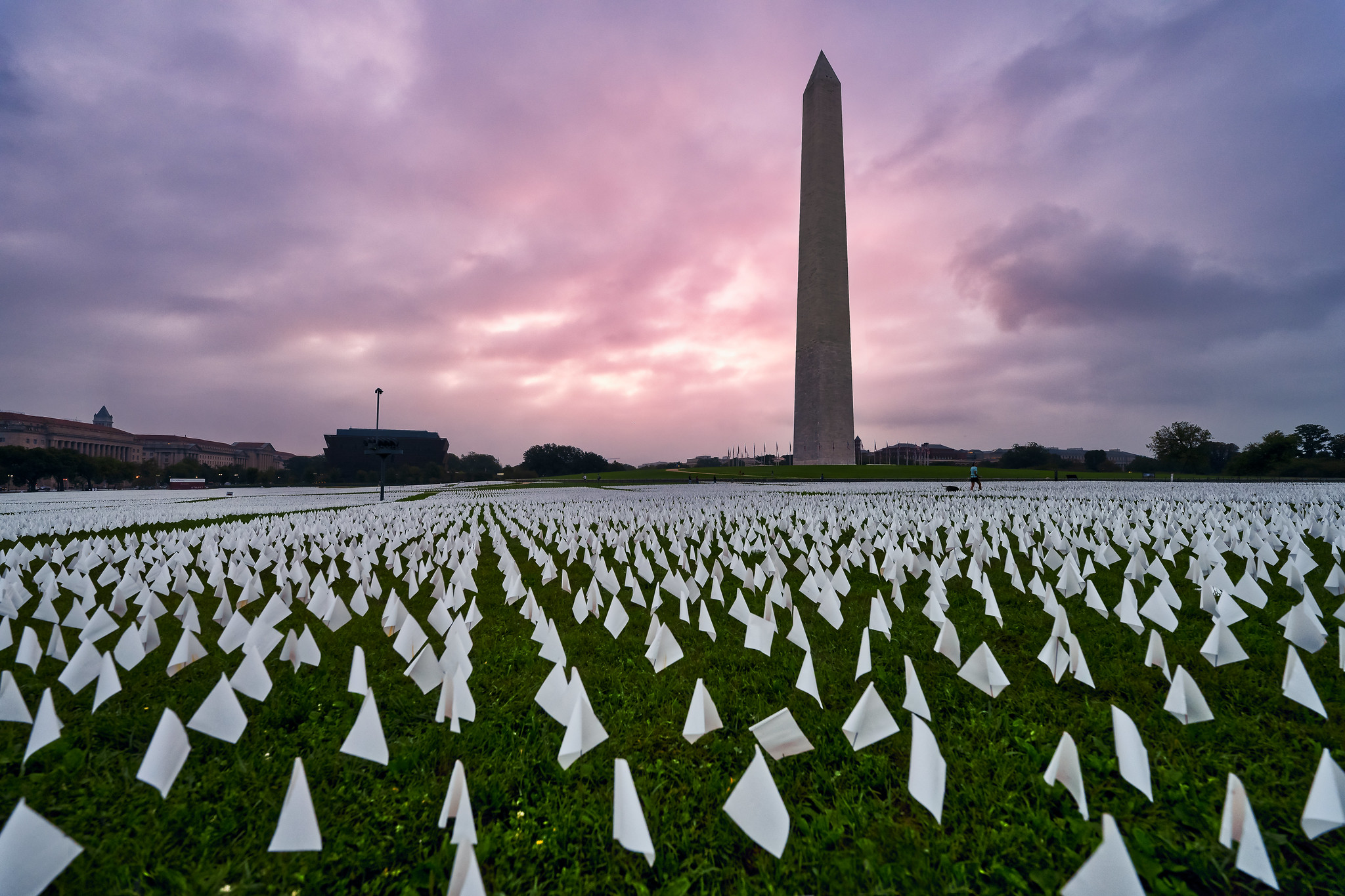 Photograph of white flags on lawn surrounding Washington Monument.