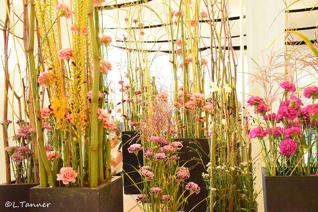 Buga Erfurt - koreanische Blumenkunst