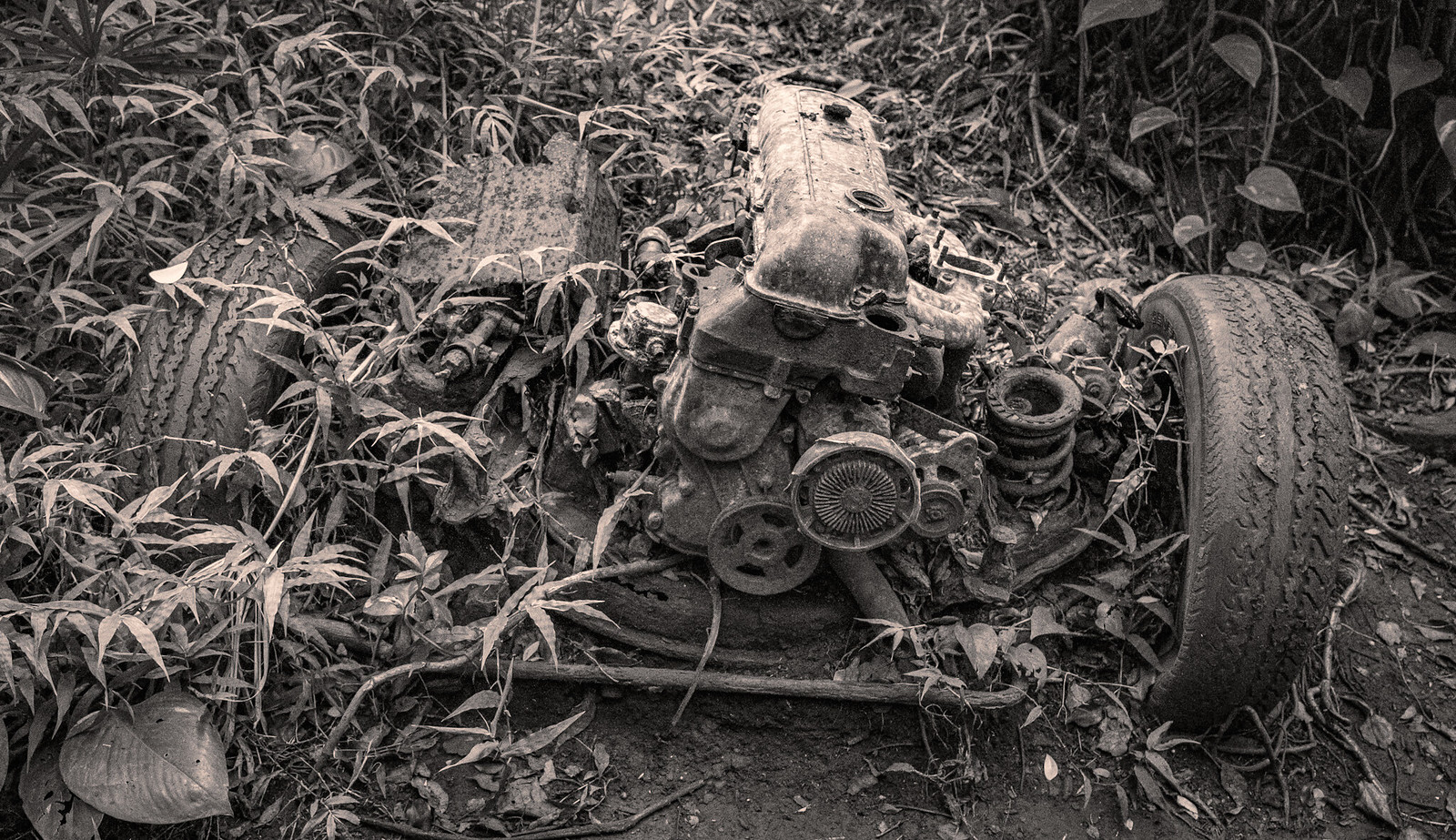 Jungle Junker, Engine on the Trail to Ho'opi Falls