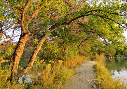 Trail of Gold by Patricia Henschen, Frantz Lake State Wildlife Areaswa statewildlifearea salida colorado trees reflection reflections su
