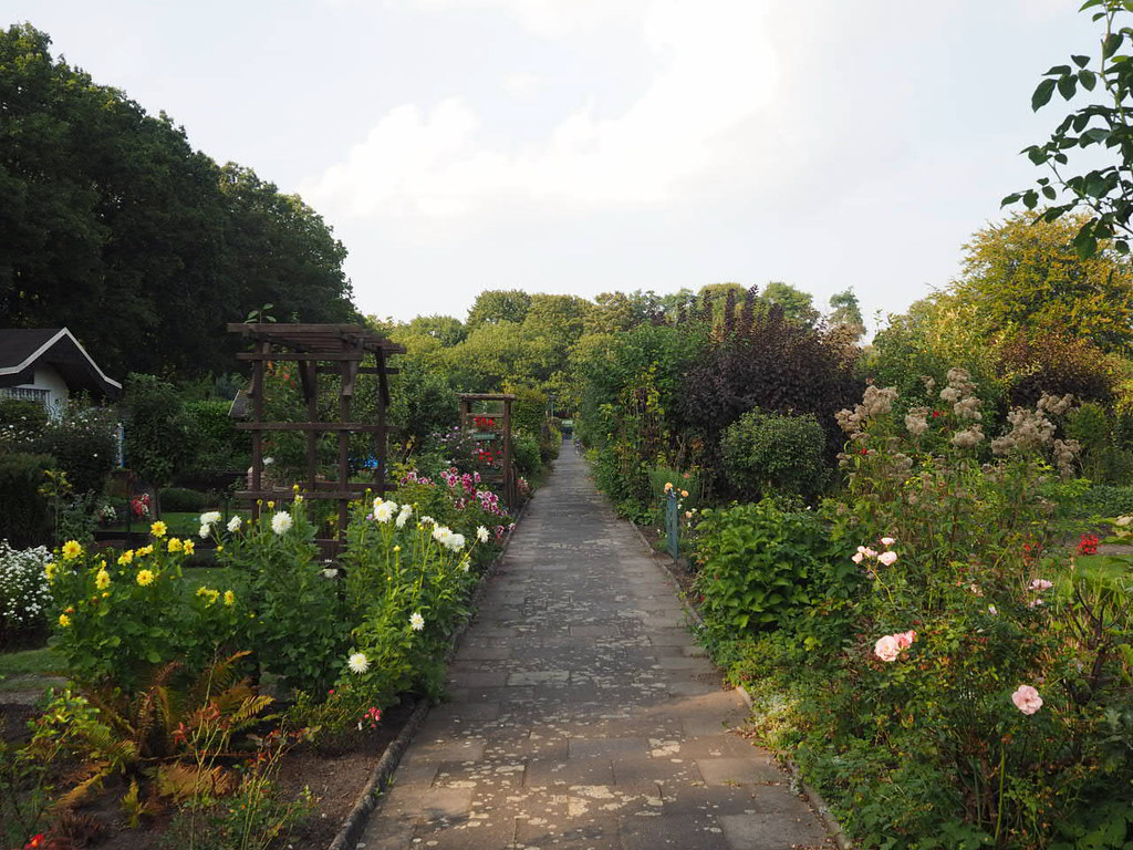 Der Garten am 18. September 2021 | OLYMPUS DIGITAL CAMERA | Flickr