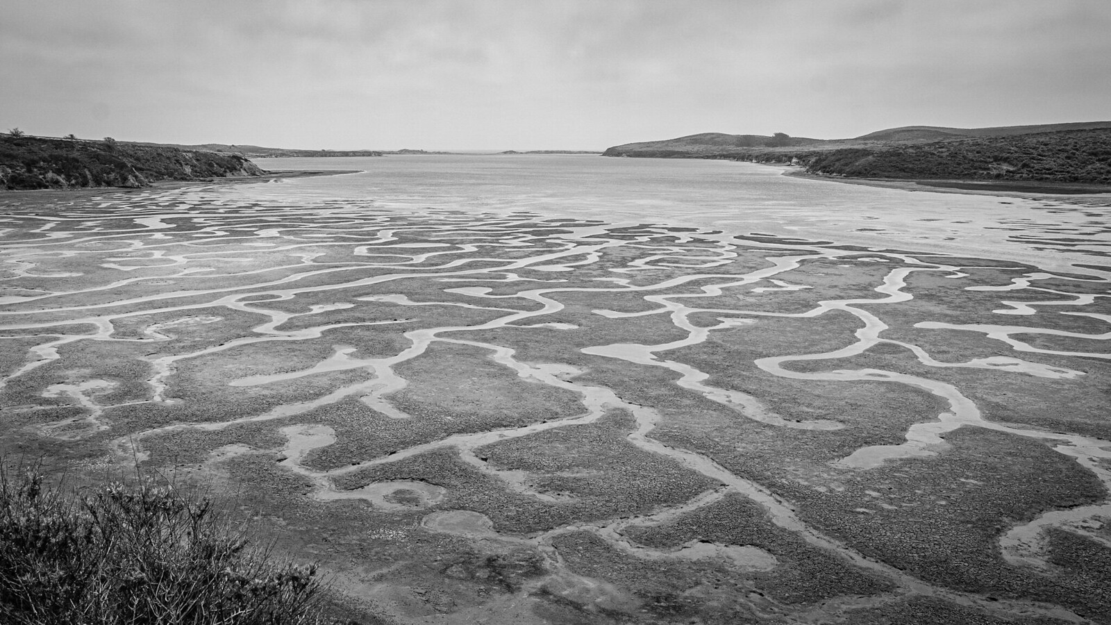 Mudflat Squiggles (IV) at Low Tide, last May with Ward