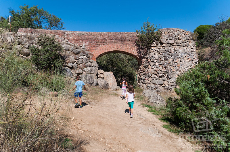 16 Excursiones para hacer con niños cerca de Madrid