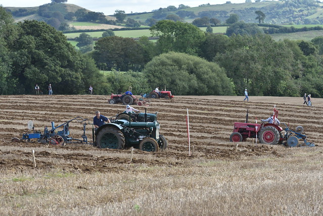 262/365 The Ploughing Competition !
