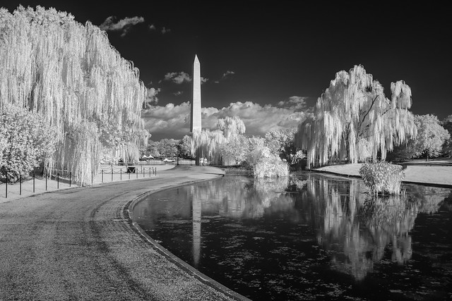 Consitution Gardens in Infrared-