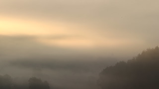 Light through dawn mist