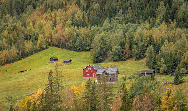 Countryside in Norway