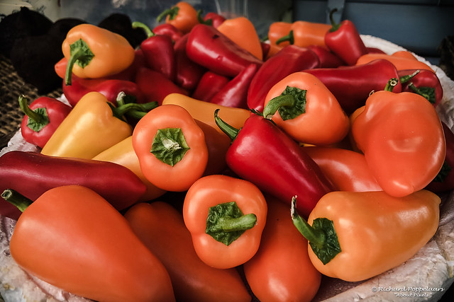 Fresh peppers! - Weekly Market (Saint-Cyprien/FR)