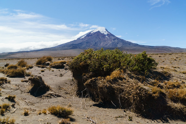Nature around the Chimborazo volcano