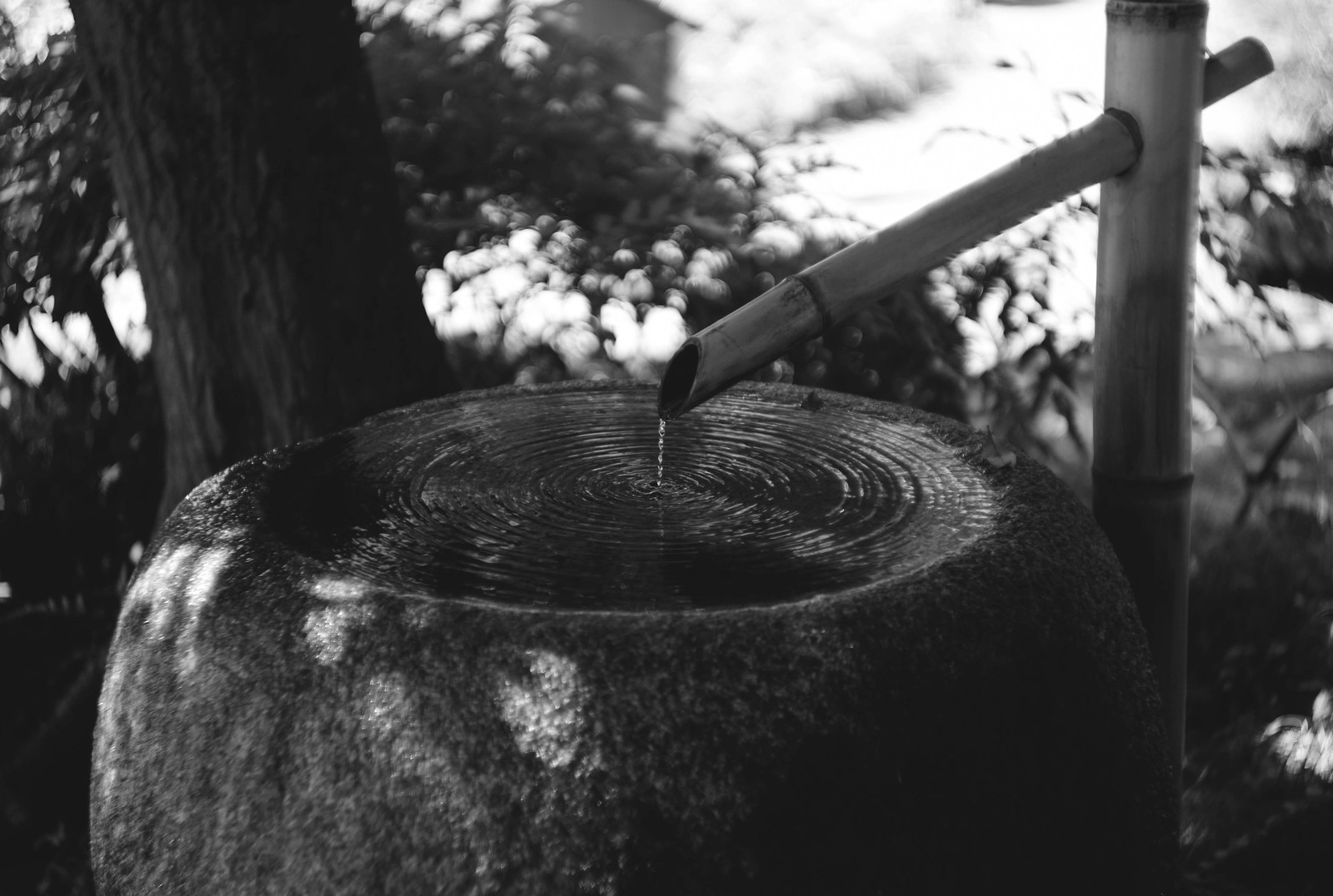 water jug