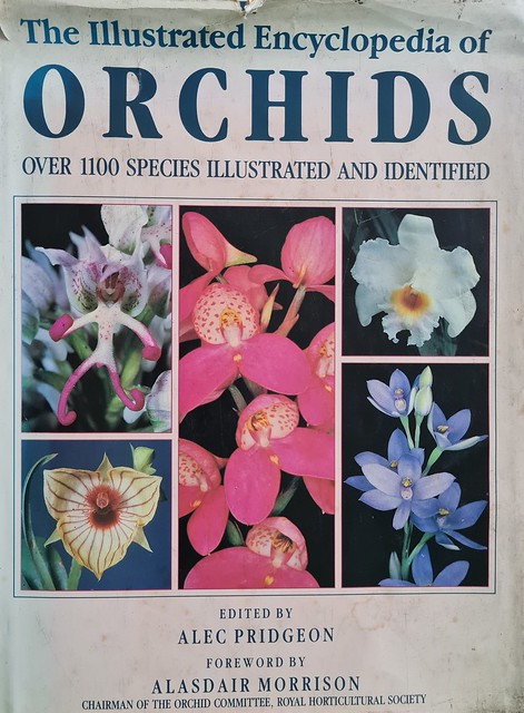 The Illustrated Encyclopedia Of Orchids
