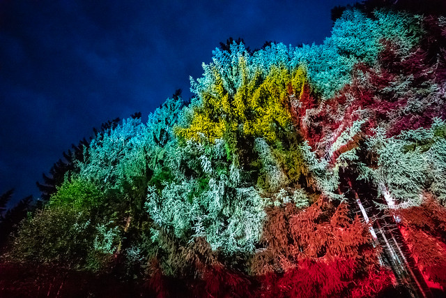 DGB Niederbayern Lichtinstallation