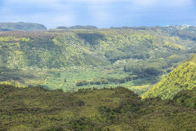 A Valley in the Maui Rain Forest