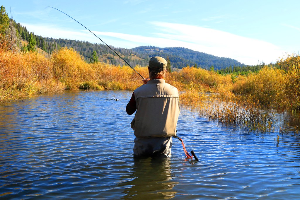 fly fishing on Little Blackfoot River in Helena-Lewis and Clark National Forest MT 653A6935