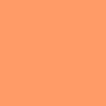 Atomic Tangerine (#FF9966) Grade C (255,153,102) (20°,60%,100%) Orange