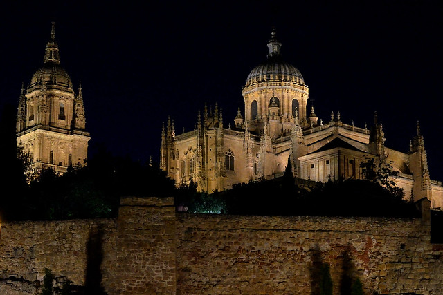 Salamanca. Catedral Nueva