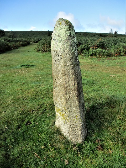 Maximajor Stone Dartmoor