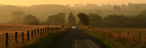 leckhampstead buckingham road lane autumn september 2021 fence mist fields car lights dawn sunrise wide trees morning 100