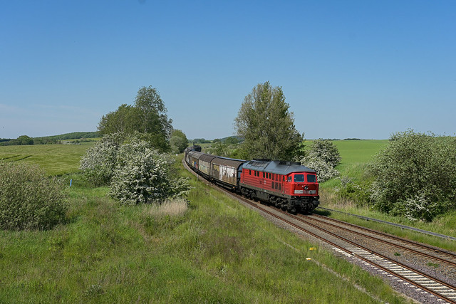 DB Cargo 233 112-2 mit H-Wagen nach Schwedt 👋