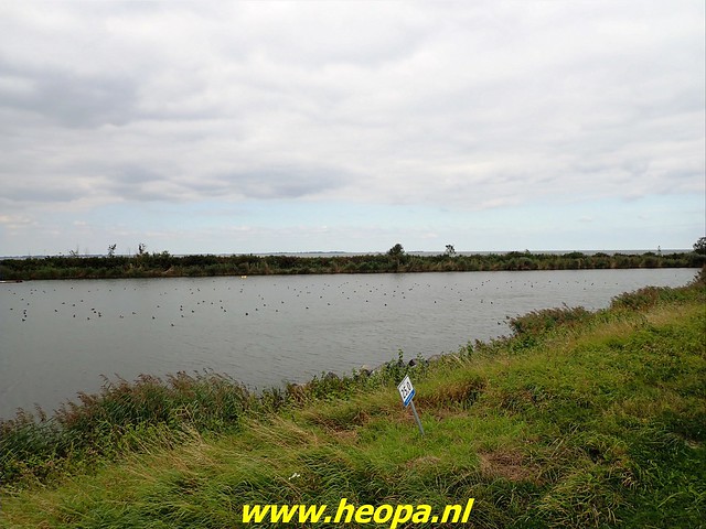 2021-09-20            Almere - Duin         39 Km   (49)