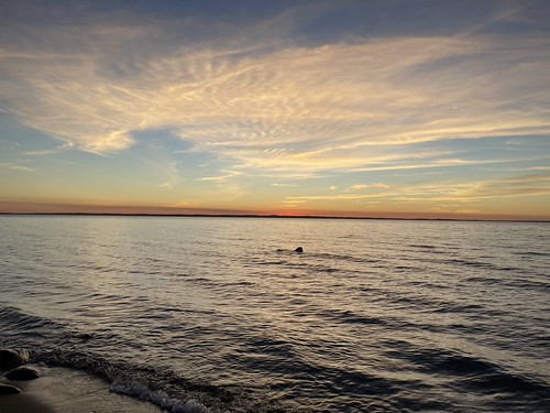 Sunset at Torch Lake by GearBoxTy, Lots of pictures of the sunsetappleiphone12promax torchlake sunset sky