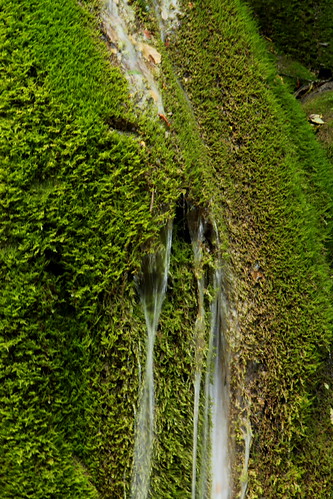 Mystischer Tuffwasserfall - Wasserfall in Tuffstein ( waterfall cascade cascata ) mit Moos bewachsen im Tal des Doubs - Doubstal im Jura im Kanton Jura in der Westschweiz - Suisse romande - Romandie der Schweiz | by chrchr_75