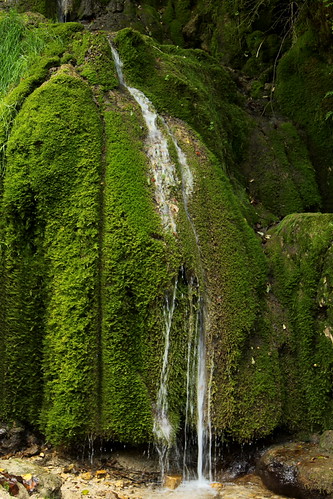 Mystischer Tuffwasserfall - Wasserfall in Tuffstein ( waterfall cascade cascata ) mit Moos bewachsen im Tal des Doubs - Doubstal im Jura im Kanton Jura in der Westschweiz - Suisse romande - Romandie der Schweiz | by chrchr_75