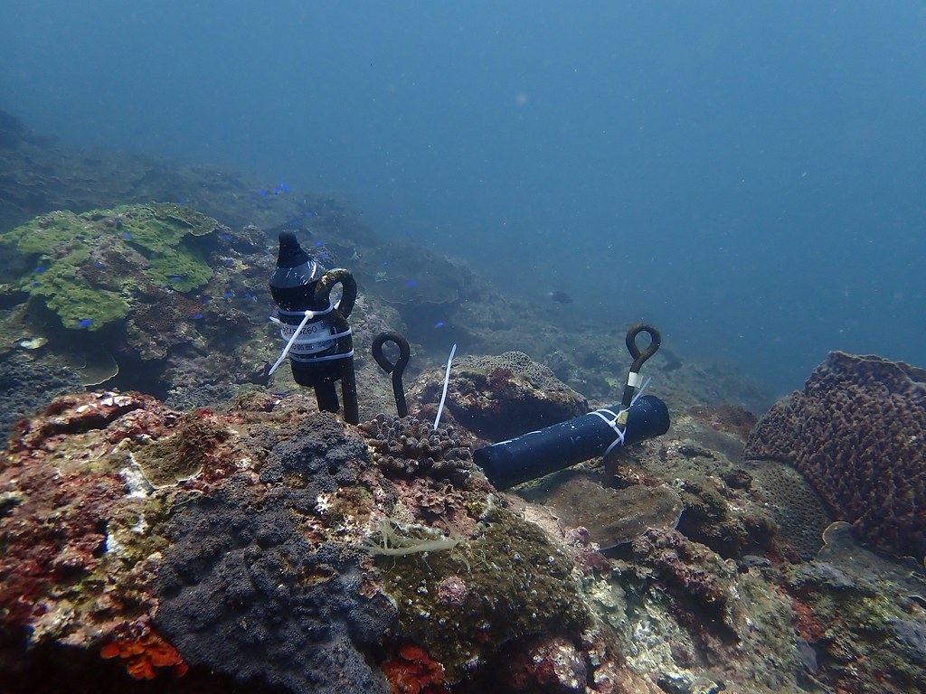 海洋保育署2021年4月啟動首次「台灣海域生態大調查」。圖為水下聲學生態監測使用的錄音機。圖片來源：海保署提供