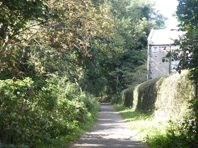 Railway cutting near River Lune   (former Lancaster connection branch)   September 2021
